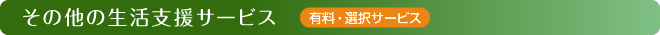 その他の生活支援サービス　(有料・選択サービス)